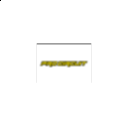 Logo de PROCIRCUIT